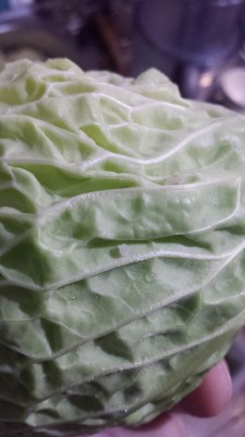 verza 3bis.jpg (165.05 KiB) Osservato 638 volte verza 3bis.jpg