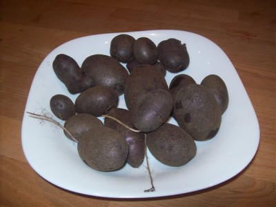 patate viola.jpg (43.73 KiB) Osservato 4790 volte patate viola.jpg