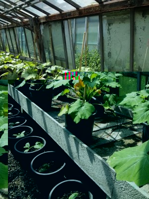 2.jpg (162.69 KiB) Osservato 435 volte 2.jpg