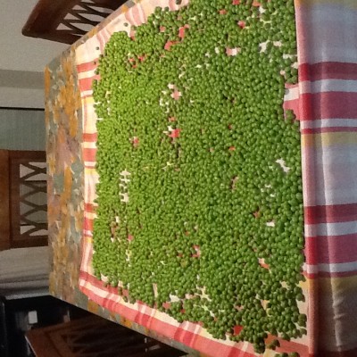 image.jpeg (300.23 KiB) Osservato 628 volte image.jpeg