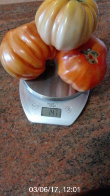 image.jpeg (317.08 KiB) Osservato 722 volte image.jpeg