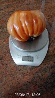 image.jpeg (313.03 KiB) Osservato 722 volte image.jpeg