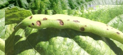 IMG_20170719_010000.jpg (307.3 KiB) Osservato 985 volte IMG_20170719_010000.jpg