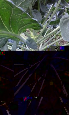 broccolo2.jpg (120.41 KiB) Osservato 1185 volte broccolo2.jpg