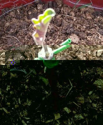 20180502_082832-1.jpg (255.77 KiB) Osservato 1539 volte 20180502_082832-1.jpg