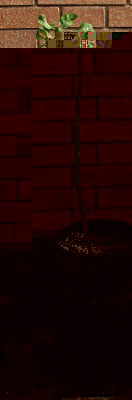 spacco1.jpg (53.34 KiB) Osservato 1455 volte spacco1.jpg