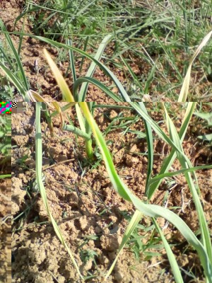 IMG_20180513_103944.jpg (191.38 KiB) Osservato 777 volte IMG_20180513_103944.jpg