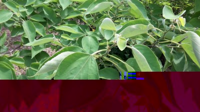 20180605_111721.jpg (110.13 KiB) Osservato 1214 volte 20180605_111721.jpg