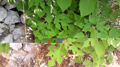 20180605_111728.jpg (124.71 KiB) Osservato 1214 volte 20180605_111728.jpg