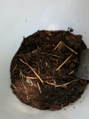 compost_1.jpg (69.03 KiB) Osservato 1129 volte compost_1.jpg