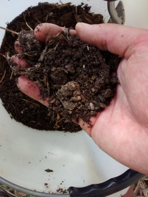 compost_2.jpg (88.86 KiB) Osservato 1129 volte compost_2.jpg