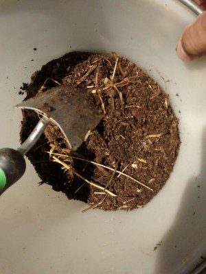 compost_3.jpg (75.12 KiB) Osservato 1129 volte compost_3.jpg
