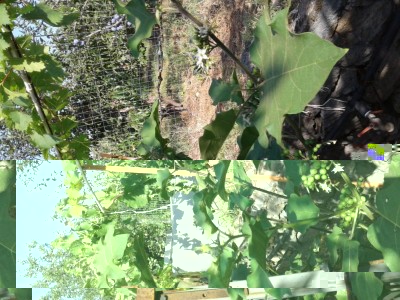 20180809_084745.jpg (170.13 KiB) Osservato 2116 volte 20180809_084745.jpg