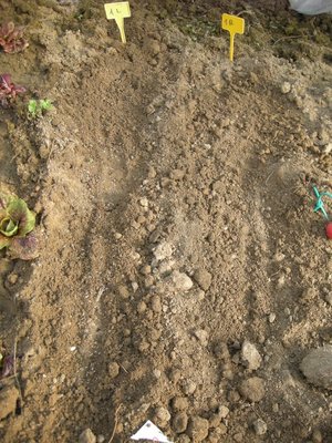 DSCN9550.JPG (198.86 KiB) Osservato 4838 volte DSCN9550.JPG