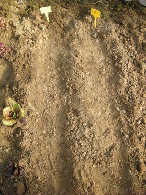 DSCN9551.JPG (189.72 KiB) Osservato 4838 volte DSCN9551.JPG