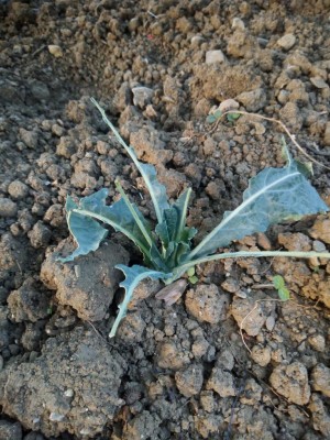 IMG_20190627_202154.jpg (160.15 KiB) Osservato 554 volte IMG_20190627_202154.jpg