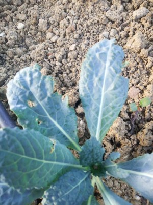 IMG_20190627_202204.jpg (137.55 KiB) Osservato 554 volte IMG_20190627_202204.jpg