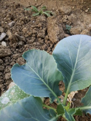 IMG_20190627_202249.jpg (103.81 KiB) Osservato 554 volte IMG_20190627_202249.jpg