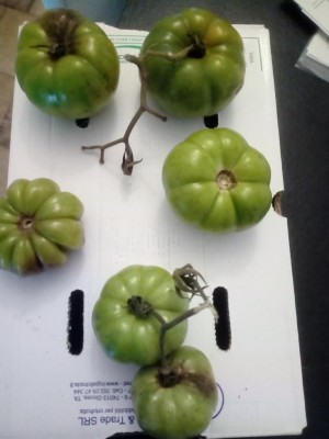 IMG_20191119_101717.jpg (55.77 KiB) Osservato 595 volte IMG_20191119_101717.jpg