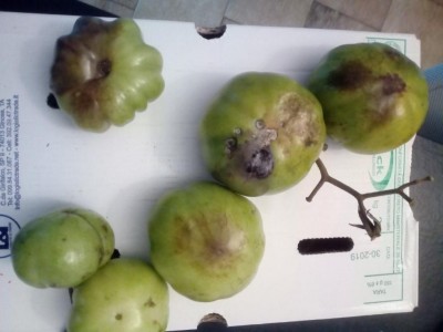 IMG_20191119_101828.jpg (57.54 KiB) Osservato 595 volte IMG_20191119_101828.jpg