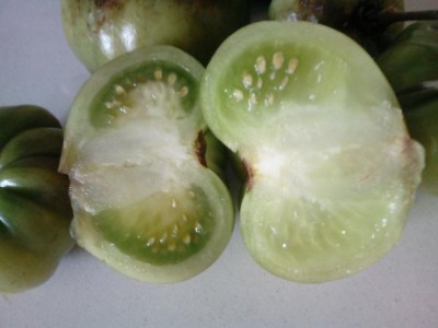 IMG_20191119_102022.jpg (52.33 KiB) Osservato 671 volte IMG_20191119_102022.jpg