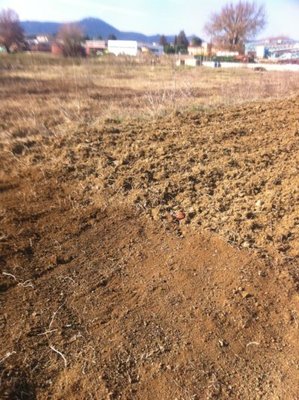 IMG_0341.jpg (73.8 KiB) Osservato 819 volte IMG_0341.jpg