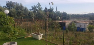 Pero1.jpg (81.89 KiB) Osservato 452 volte Pero1.jpg