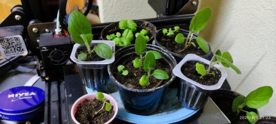 IMG_20210401_212311.jpg (78.25 KiB) Osservato 1423 volte IMG_20210401_212311.jpg