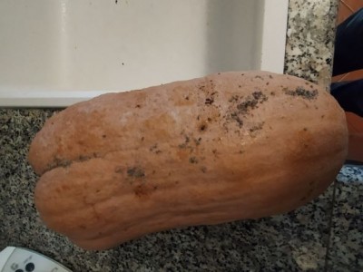 IMG_20211020_165219 web.jpg (37.31 KiB) Osservato 475 volte IMG_20211020_165219 web.jpg