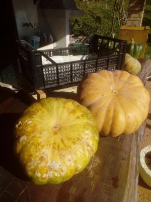 IMG_20211027_133028.jpg (91.7 KiB) Osservato 1124 volte IMG_20211027_133028.jpg