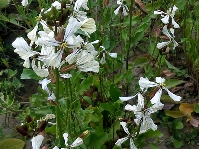 foto 1.JPG foto 1.JPG