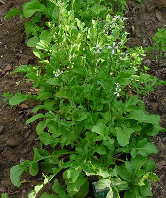 foto 2.JPG foto 2.JPG