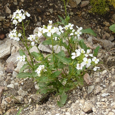 foto 3.JPG foto 3.JPG