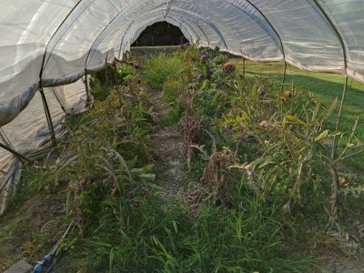 IMG20220630190348_copy_1843x1382.jpg (174.6 KiB) Osservato 433 volte IMG20220630190348_copy_1843x1382.jpg