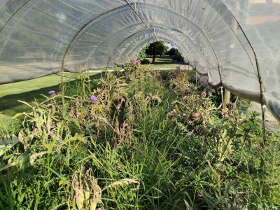 IMG20220630190405_copy_1843x1382.jpg (226.2 KiB) Osservato 433 volte IMG20220630190405_copy_1843x1382.jpg