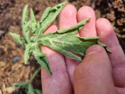 20230505_154628.jpg (77.93 KiB) Osservato 727 volte 20230505_154628.jpg