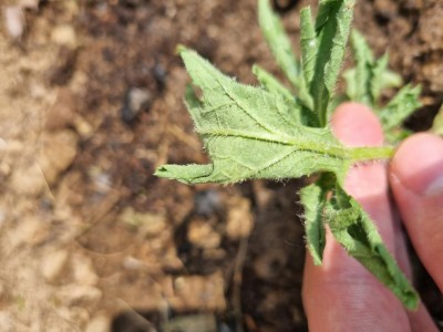 20230505_154638.jpg (76.12 KiB) Osservato 727 volte 20230505_154638.jpg