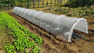 01 IMG_20230926_115200_Edited.JPG 01 IMG_20230926_115200_Edited.JPG