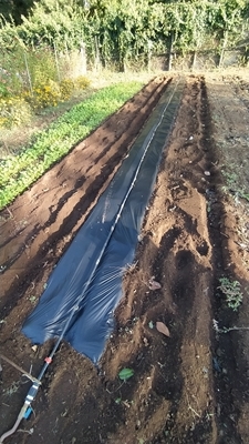 1 IMG_20230926_085800_Edited.JPG 1 IMG_20230926_085800_Edited.JPG