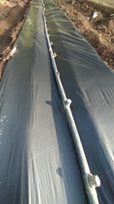 2 IMG_20230926_085816_Edited.JPG 2 IMG_20230926_085816_Edited.JPG