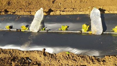 3 IMG_20230926_102709.JPG 3 IMG_20230926_102709.JPG