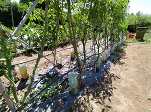 2 IMG_20230626_122605_Edited.JPG 2 IMG_20230626_122605_Edited.JPG