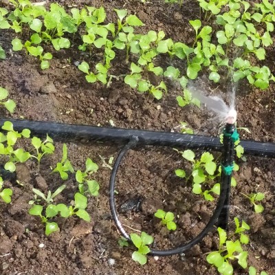 IMG_20230919_131500_Edited.JPG (259.54 KiB) Osservato 783 volte IMG_20230919_131500_Edited.JPG