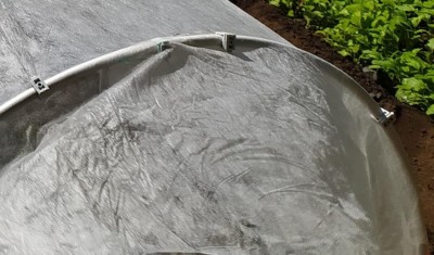 no mollette IMG_20230926_115326.jpg (97.68 KiB) Osservato 586 volte no mollette IMG_20230926_115326.jpg