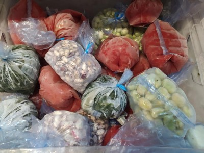 IMG_20231018_143955_Edited.JPG (104.17 KiB) Osservato 513 volte IMG_20231018_143955_Edited.JPG