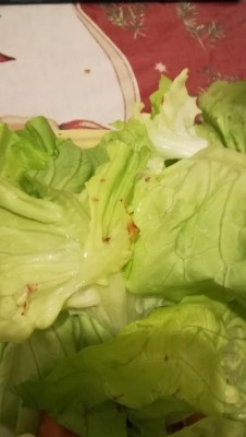 IMG_20240110_135331.jpg (43.16 KiB) Osservato 3367 volte IMG_20240110_135331.jpg