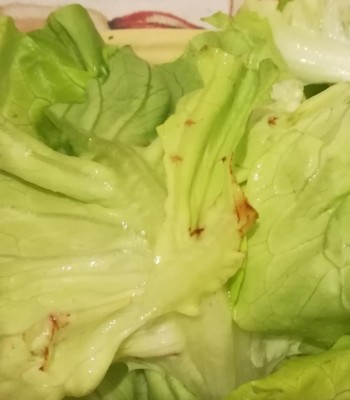 4.jpg (53.75 KiB) Osservato 3367 volte 4.jpg