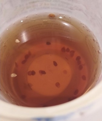 3.JPG (35.87 KiB) Osservato 990 volte 3.JPG