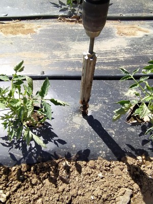 22 IMG_20240504_153717_Edited.JPG (203.21 KiB) Osservato 406 volte 22 IMG_20240504_153717_Edited.JPG