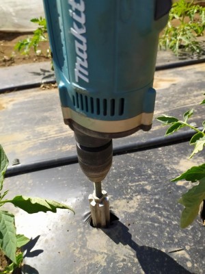 23 IMG_20240504_153740_Edited.JPG (96.02 KiB) Osservato 420 volte 23 IMG_20240504_153740_Edited.JPG